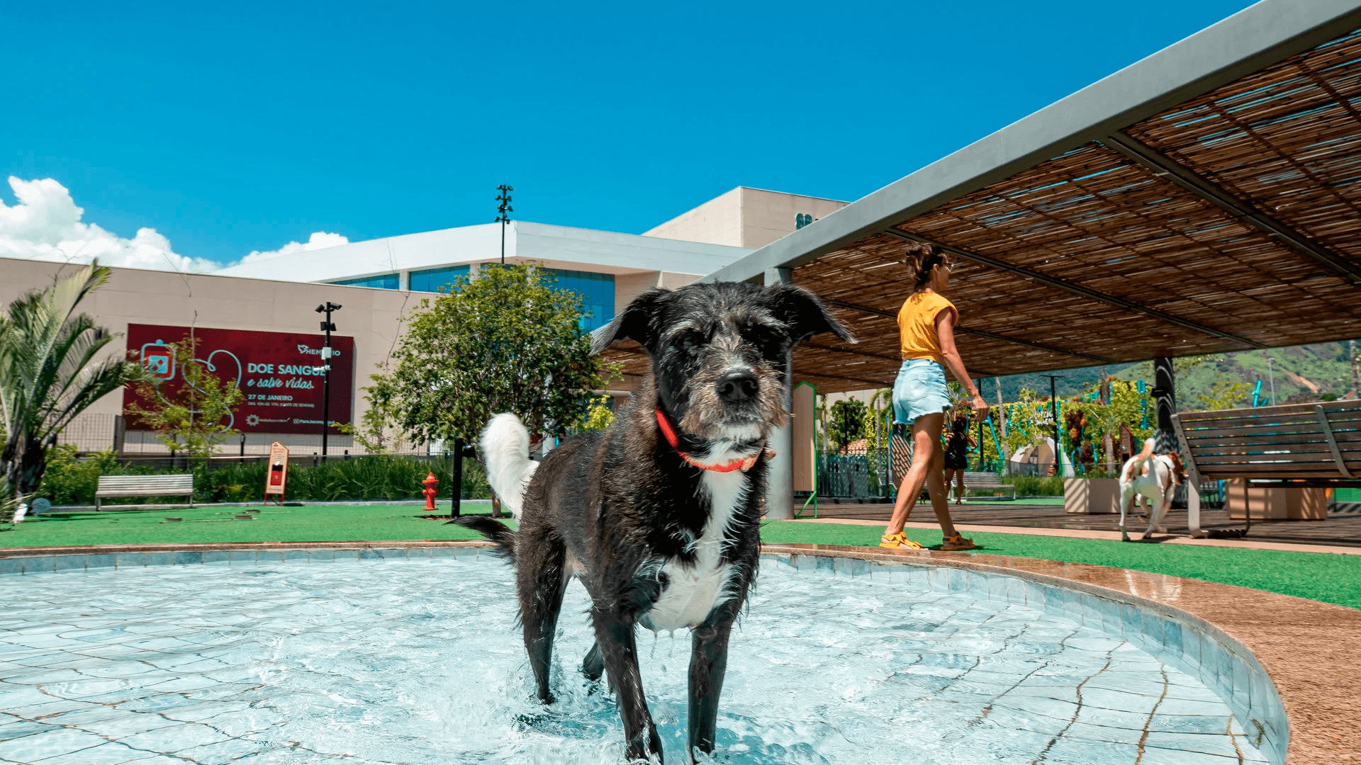 home2026v1 192 15 Parcões e Mercado Pet no Rio de Janeiro: onde ir
