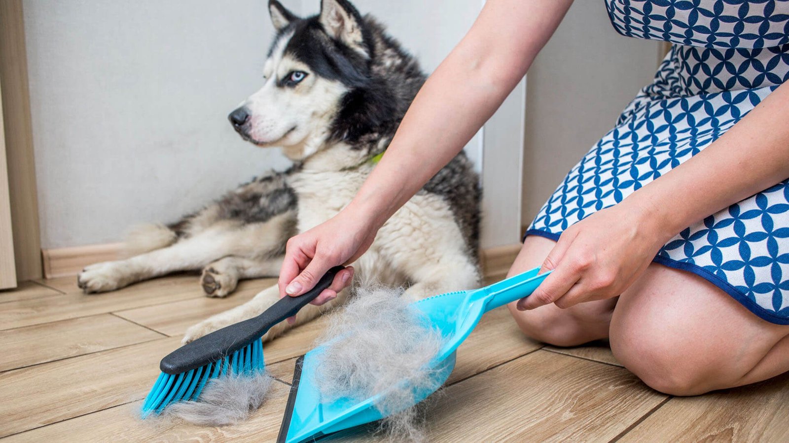 Como Lidar com Pelos: Dicas para Reduzir a Queda e Manter a Casa Limpa