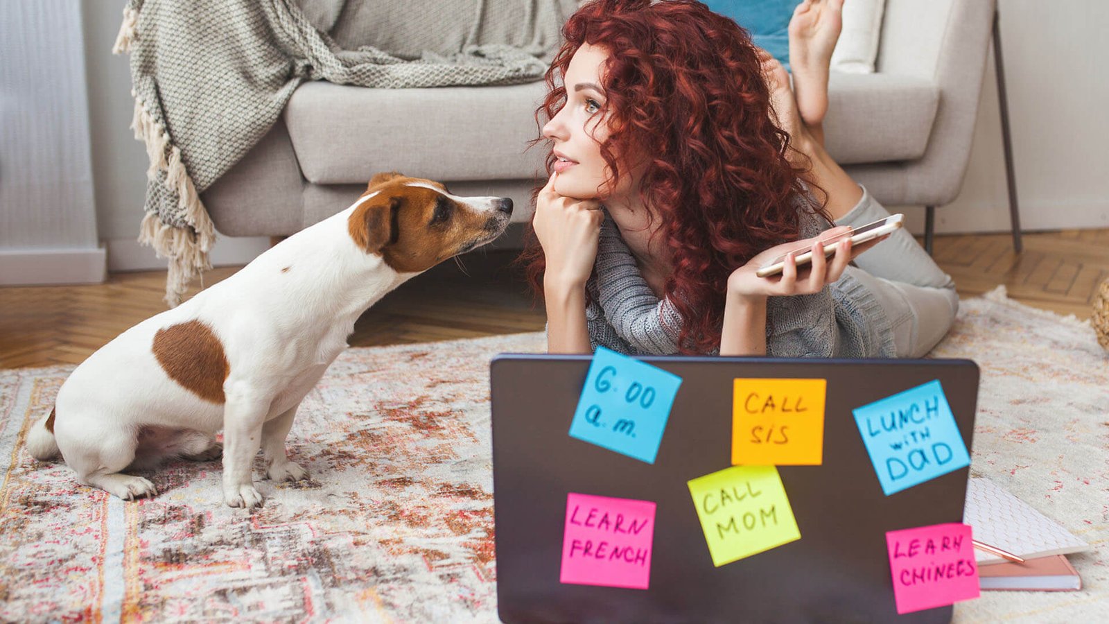 Como Organizar a Rotina do Seu Pet: Dicas de Planejamento para Tutores Ocupados
