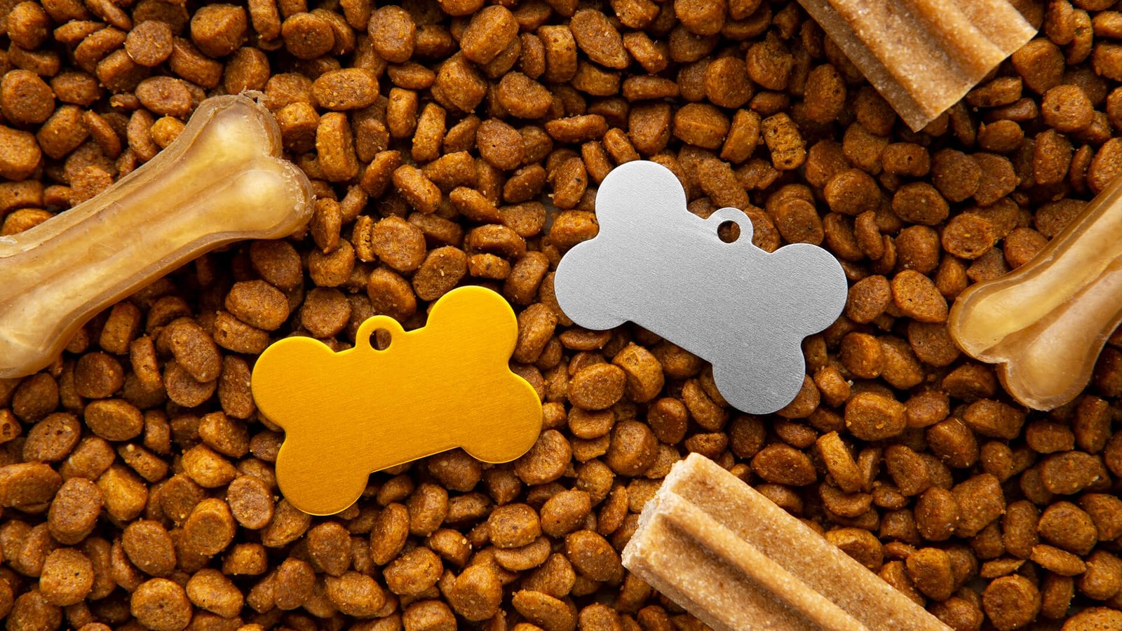 Melhores Rações para Cães e Gatos: Guia Completo