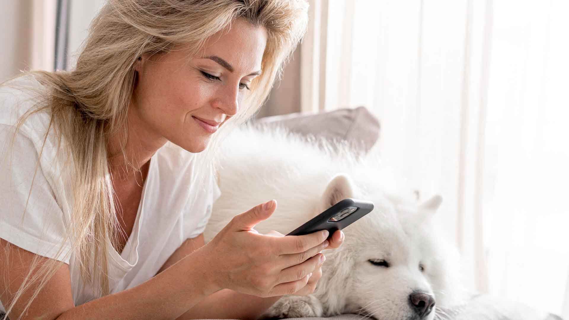 Organização da Rotina para Pets: Cuidados e Dicas