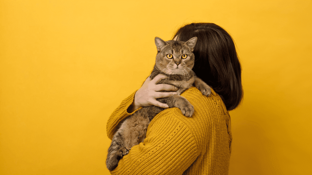 Maio Amarelo Pet: Saúde Renal e Oral em Foco 7 maio amarelo gatos