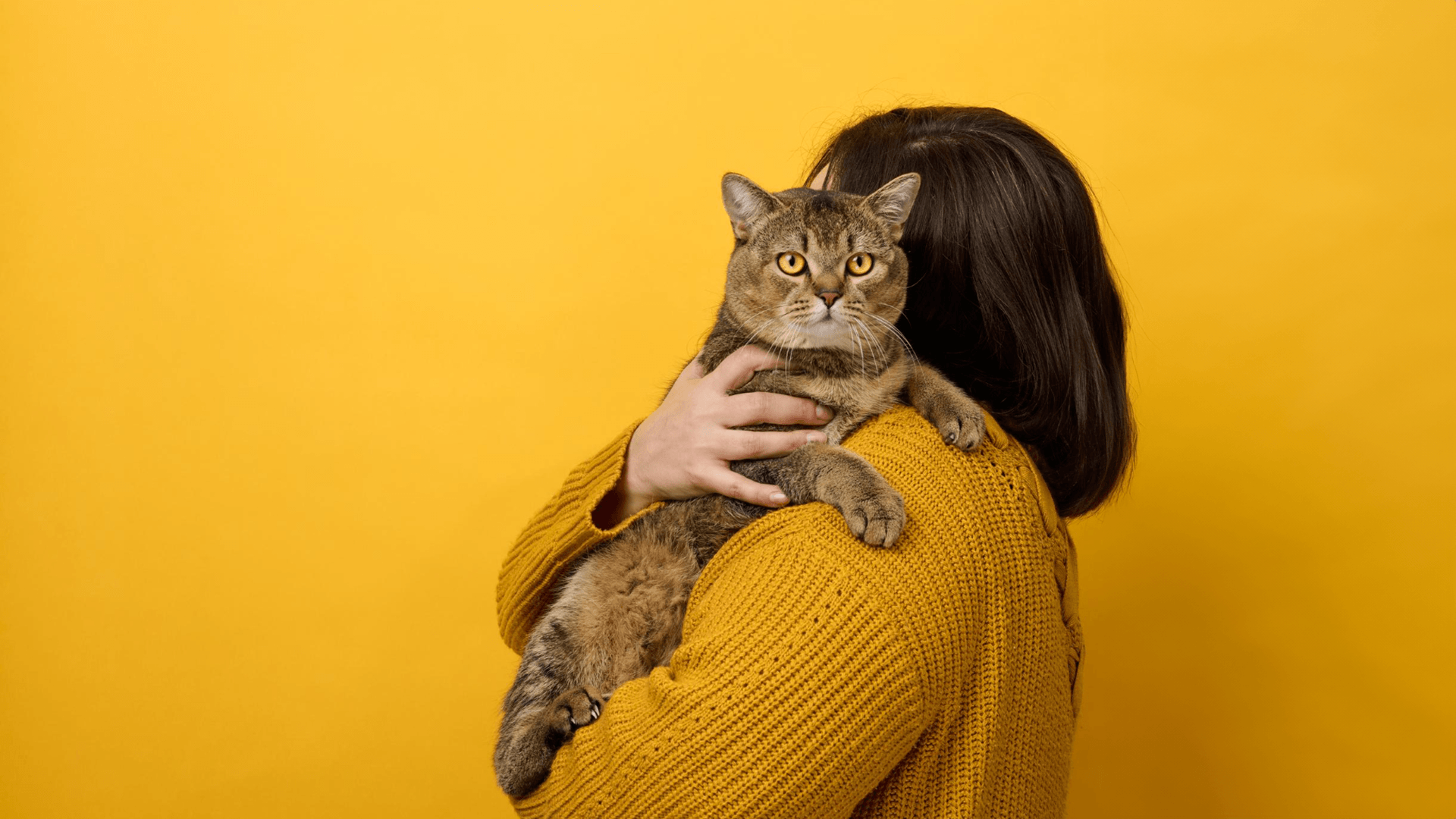 Maio Amarelo Pet: Saúde Renal e Oral em Foco