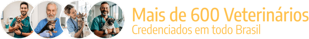 600 vet credenciados