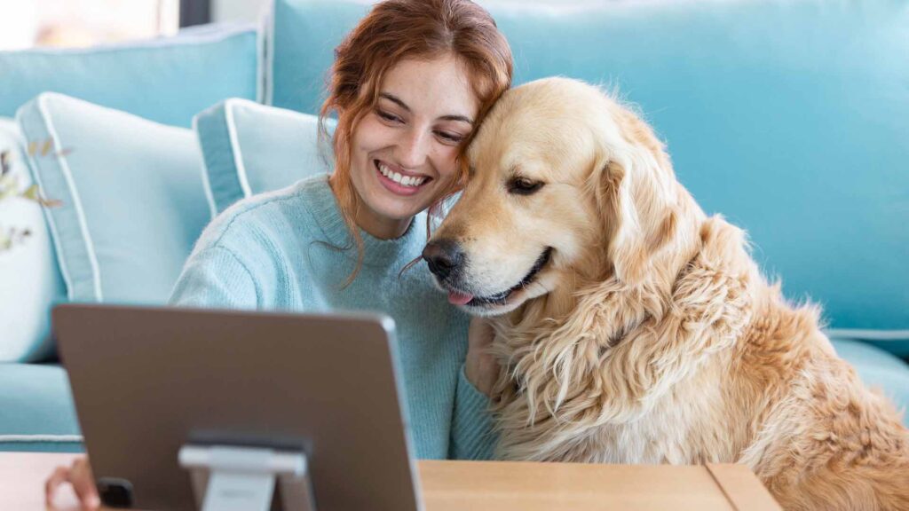 Consulta Veterinaria Online Como Funciona e Preco no Brasil