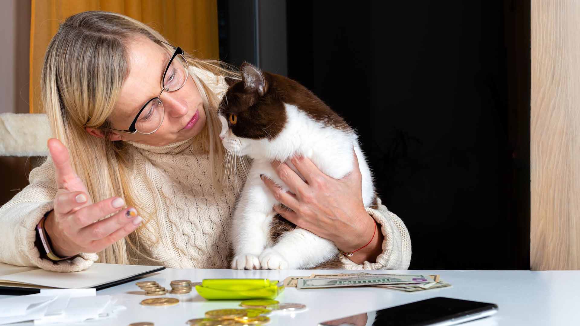 Gastos essenciais com cães e gatos 2026: saúde preventiva e alimentação funcional ganham espaço
