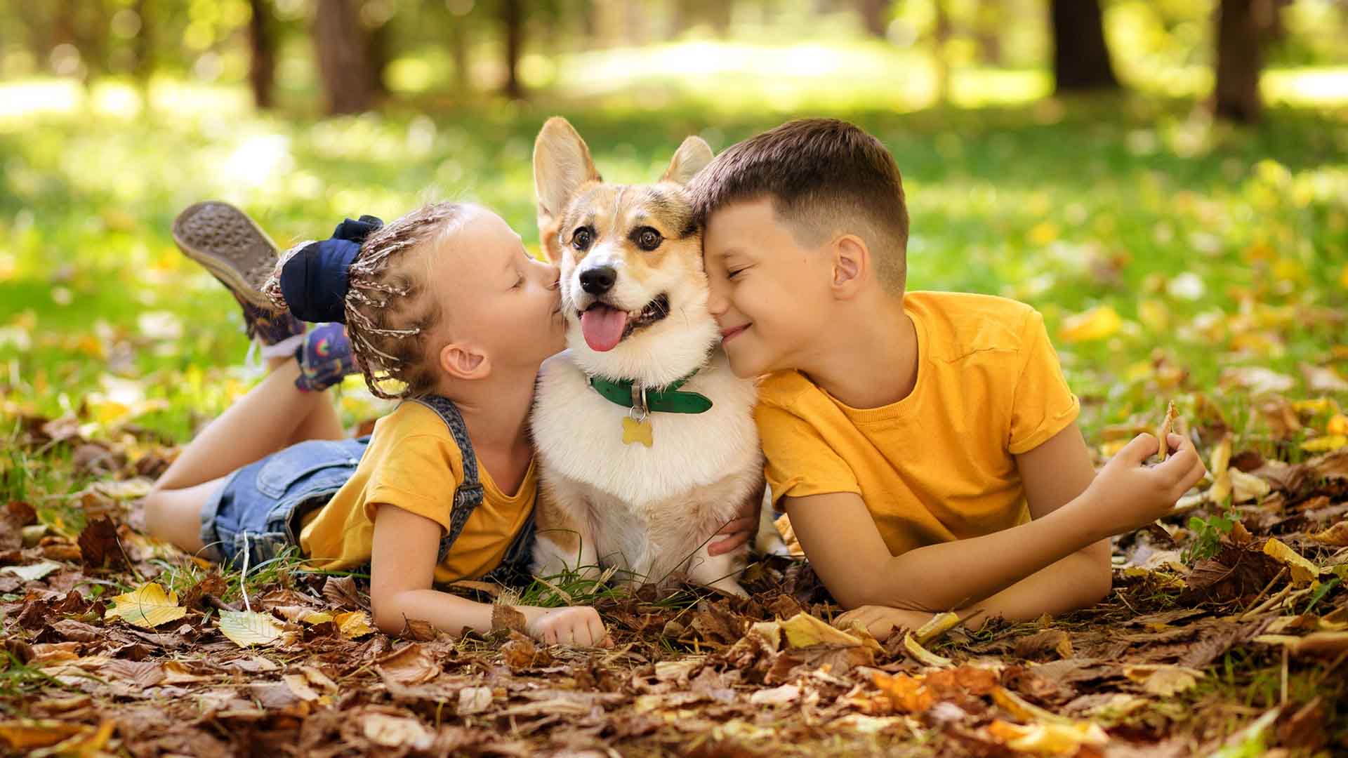 Interação entre Crianças e Animais: Benefícios Incríveis