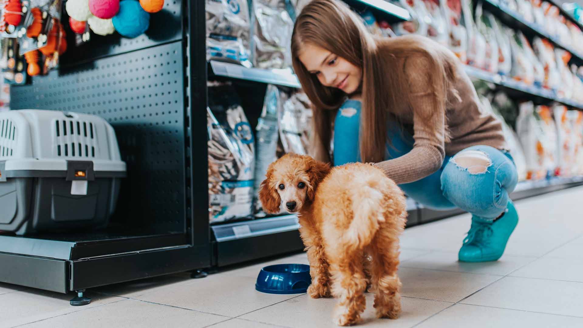 home2026v1 191 Mercado pet 2026: R$ 81,24 bi e impacto no tutor