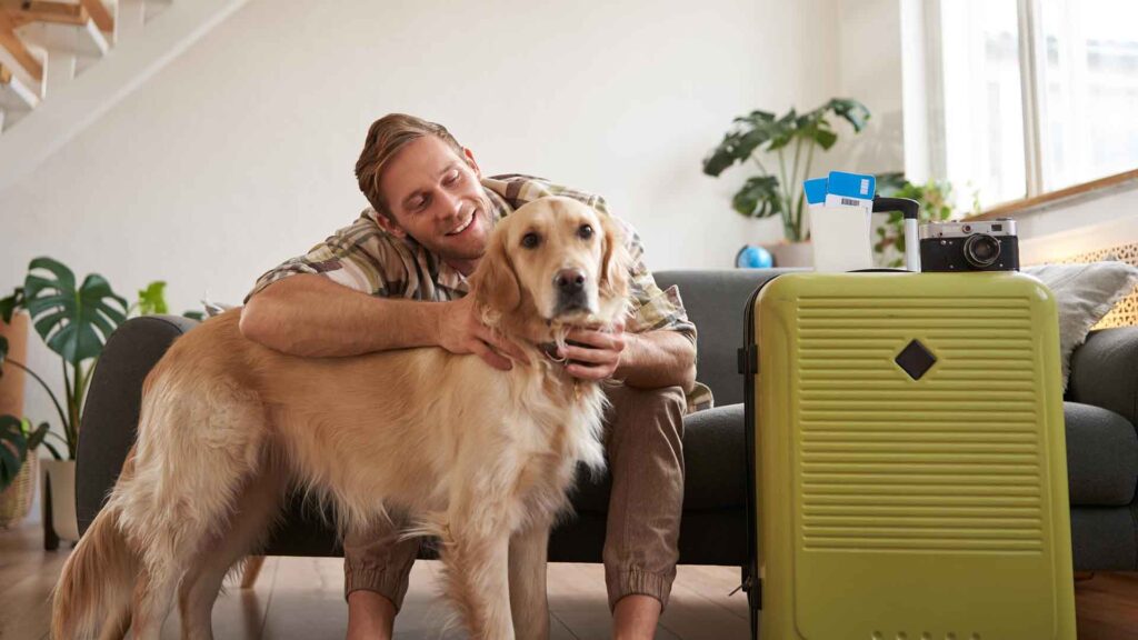 Novas Normas de Voo para Transporte de Pets em 2026
