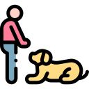 homeset2026 43 dog training