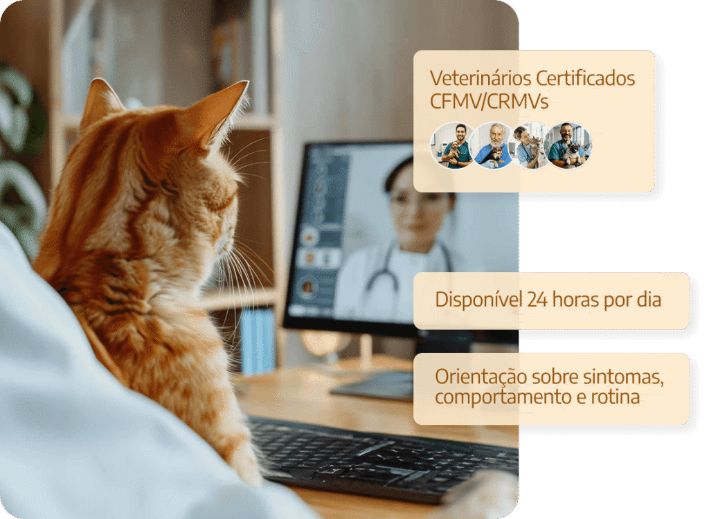 telemedicina vet tags